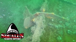 ARTIFICIAL REEF AT SMITHTOWN BAY PART 2  SQULALUS MARINE DIVERS [upl. by Androw]