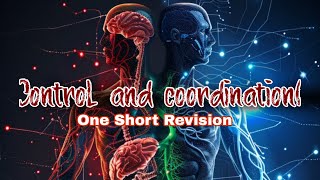 Control and coordination Class 10 Full Chapter Animation  Class 10 Science Chapter 7  CBSE [upl. by Penny]