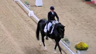 Andrea Timpe  Don Darwin I Grand Prix  Baltic Horse Show  Kiel  2016 [upl. by Caro]