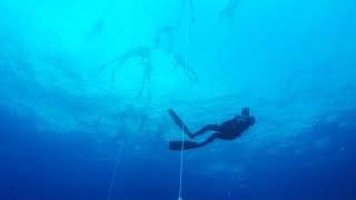 Breathe A short documentary on freediving [upl. by Nysila]