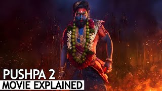 Pushpa 2 The Rule Full Movie Explained in Hindi  BNN Review [upl. by Launce]