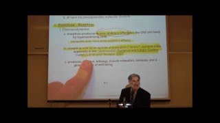 PHARMACOLOGY NARCOTIC ANALGESICS by Professor Fink [upl. by Aruabea]