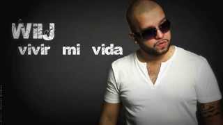 Vivir mi vida Remix [upl. by Anilrats]