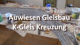 Auwiesen Gleisbau  Kreuzung aus KGleis [upl. by Adlemi467]