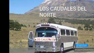 LOS CAUDALES DEL NORTE 11 A QUE NO LE PONES [upl. by Mariette519]