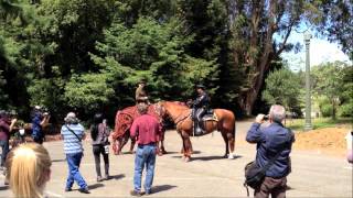 War Horses Joey in Golden Gate Park [upl. by Kit]