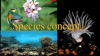 Species concept I Biologial I Morphological I Phylogenetic I Evolutionary I Phenetic I Polytypic [upl. by Morra198]