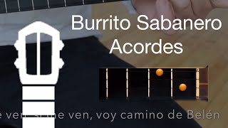 Burrito Sabanero  Canta con el Cuatro [upl. by Bradford]