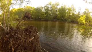 Snorkeling in the Redbank Creek [upl. by Alleinnad]