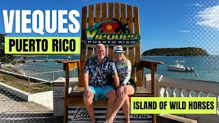 TOUR Vieques Puerto RicoIsland of Wild Horses and Bio Bay [upl. by Ettelrac]