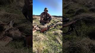 338 win mag 2 deer with 1 shot [upl. by Ethelind]