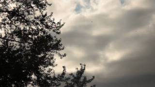 HD video Recorded by Canon EOS 450D XSi W1855mm Kit Lens [upl. by Gow40]