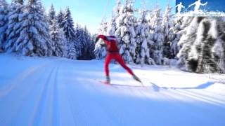 xcskiing downhill techniques [upl. by Pompei]