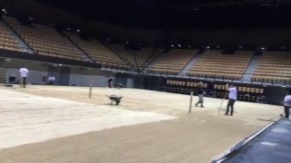 vidéo Arena Loire Trélazé [upl. by Baecher]