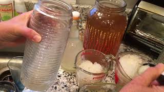 Fizzy Kefir Water First Ferment [upl. by Scornik]