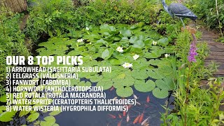 TOP 10 Pond Plants YOU NEED TO HAVE [upl. by Atikkin]