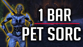 One Bar Pet Sorc Build Vateshran Hollows Vet  Full Run ESO [upl. by Assilaj]