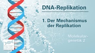 Molekulargenetik 2 DNAReplikation – Bedeutung und Mechanismus MeselsonStahlVersuch [upl. by Auop]