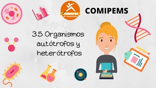 35 Organismos autótrofos y heterótrofos COMIPEMS [upl. by Jon162]