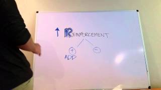 Difference Between Positive and Negative Reinforcement [upl. by Flory]