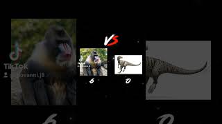 Mandrill vs Herrerasaurus [upl. by Eerahs]