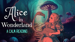 Reading of Alice in Wonderland  full audiobook  Story Reading for Sleep  Relaxing Reading [upl. by Arleen185]