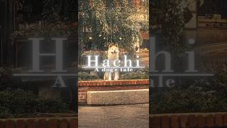 Hachi dog’s tale edit 🥶 [upl. by Ahsetan]