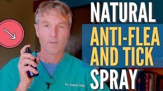 Natural Flea and Tick Spray for Dogs [upl. by Snehpets]