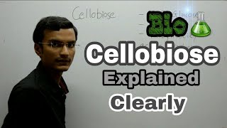 Cellobiose Disaccharide  Biochemistry lecture [upl. by Oiramel773]