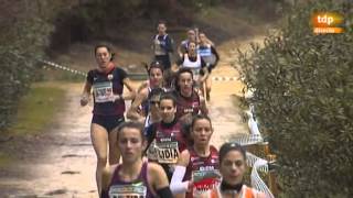 XXXIII CROSS INTERNACIONAL DE ITÁLICA  SANTINPONCE  SEVILLA  ABSOLUTA FEMENINA  20150118 [upl. by Garv]