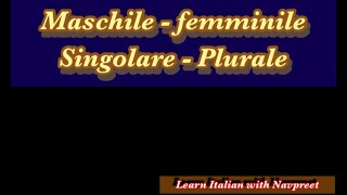 Maschile  Femminile e Singolare  Plurale lesson 29 [upl. by Tonie]