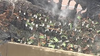 18 tonnes of avocados burn after Texas truck crash [upl. by Abercromby516]