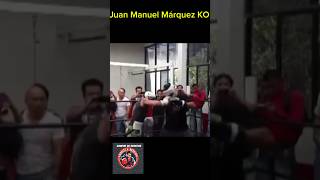 Juan Manuel Márquez noquea a sparring fue el que usó con Pacquiao [upl. by Aicsila]