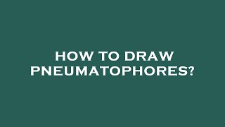 How to draw pneumatophores [upl. by Gaut]