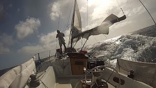 quotAlone Togetherquot Singlehanded Sailing LA to Hawaii and Return [upl. by Roselia65]