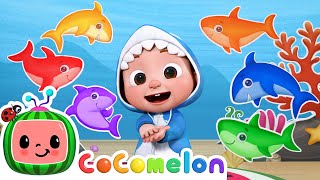 Baby Shark Learns Colors  CoComelon Nursery Rhymes amp Kids Songs [upl. by Aneloaup]