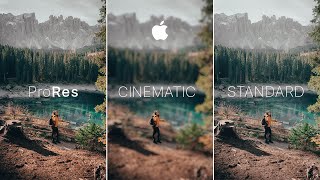 iPhone 13 Pro  ProRes vs STANDARD vs CINEMATIC MODE [upl. by Rodavlas555]