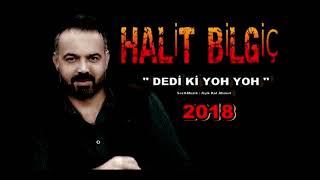 Halit Bilgiç  Dedi ki Yok Yok  Official Audio [upl. by Latsyrd369]