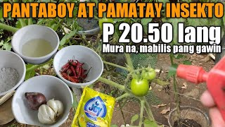 PAANO GUMAWA NG READY TO USE INSECTICIDE AT INSECT REPELLENT for plants [upl. by Eelnayr]