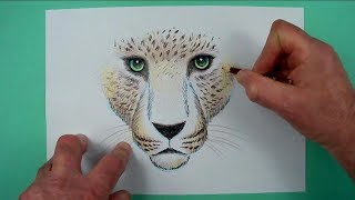 Ein Leopard schaut dich an Zeichnen für Kinder und jedem dem es Spaß macht [upl. by Nairrot404]