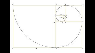 Cómo dibujar la espiral aurea en AutoCAD [upl. by Nnaeirual]