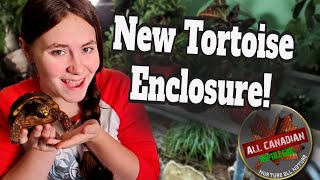 Upgraded RedFooted Tortoise Enclosure allcanadianreptilegirl redfoottortoise [upl. by Odlauso673]