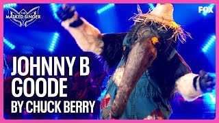 Anteater Sings “Johnny B Goode” by Chuck Berry  Season 10  The Masked Singer [upl. by Winn]