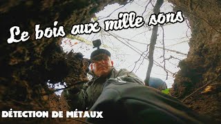 Le bois aux mille sons detection de métaux [upl. by Karalee643]