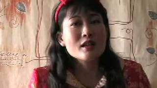 quotFestival in Tianshan Mtnquot Played by Evelyn Tang on the Yangqin Chinese Dulcimer [upl. by Heck17]