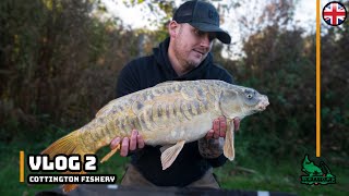 Cottington Lakes  New Pepper  Carp Fishing  Chasing the 40lb Carp [upl. by Latonia]