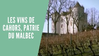 REPORTAGE Les vins de Cahors patrie du Malbec dans le SudOuest de la France [upl. by Litton218]