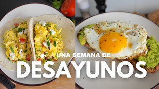 5 Recetas de Desayunos Saludables y Deliciosos que debes probar [upl. by Bevers]