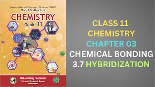 37 Hybridization Chemical Bonding Chapter 3 Chemistry Class 11 FBISE New Syllabus 2024 NBF [upl. by Venezia]