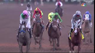 Arrogate Career Highlights [upl. by Modnarb]